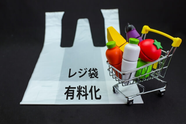 エコバッグの代用にできるものおすすめ