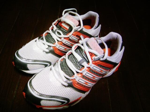 防水スプレーはメッシュのシューズに効果はある？メッシュのランニングシューズに使ってみたい