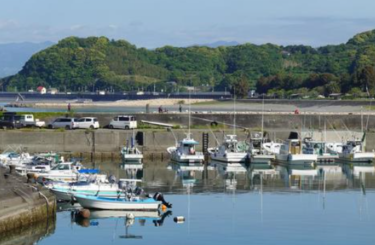 <strong>投げ釣りとぶっこみ釣りの違いを簡単に説明します</strong>