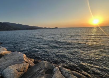 <strong>投げ釣りの餌にアサリはあり？</strong>