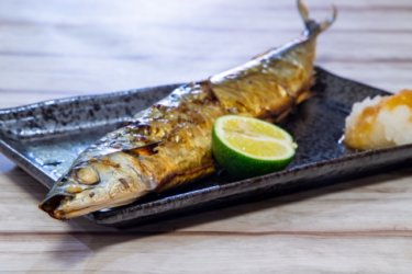 <strong>秋刀魚（さんま）の養殖はあるの？その理由</strong>